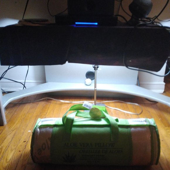 Aloe Vera pillow - Picture 1 of 2
